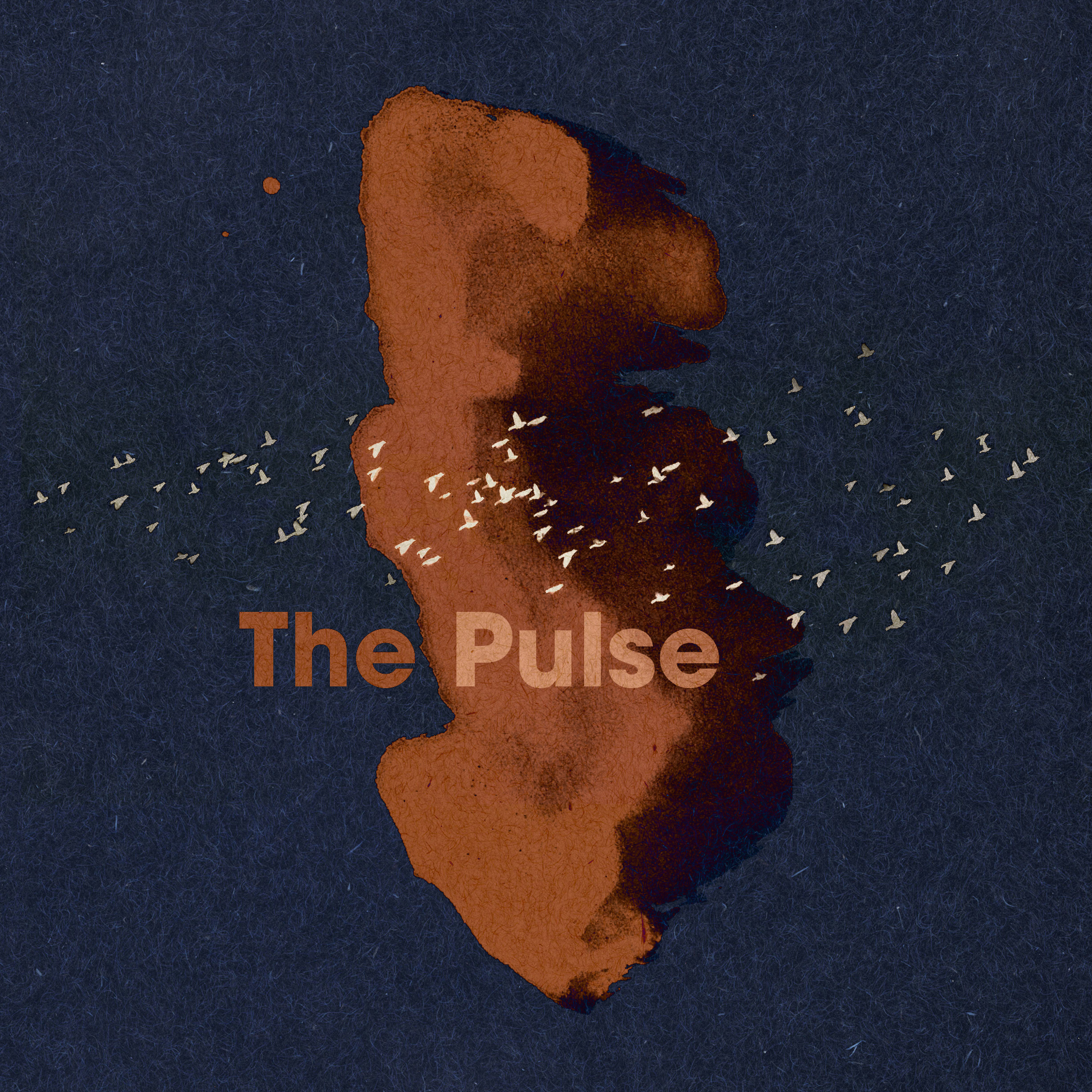 pochette album the pusle