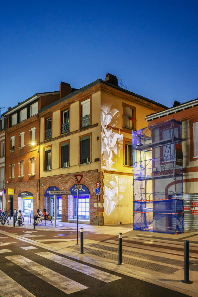 Lumières et projections graphiques dans le quartier Saint-Michel à Toulouse Reportage photo nocturne Grande Rue Saint-Michel à Toulouse